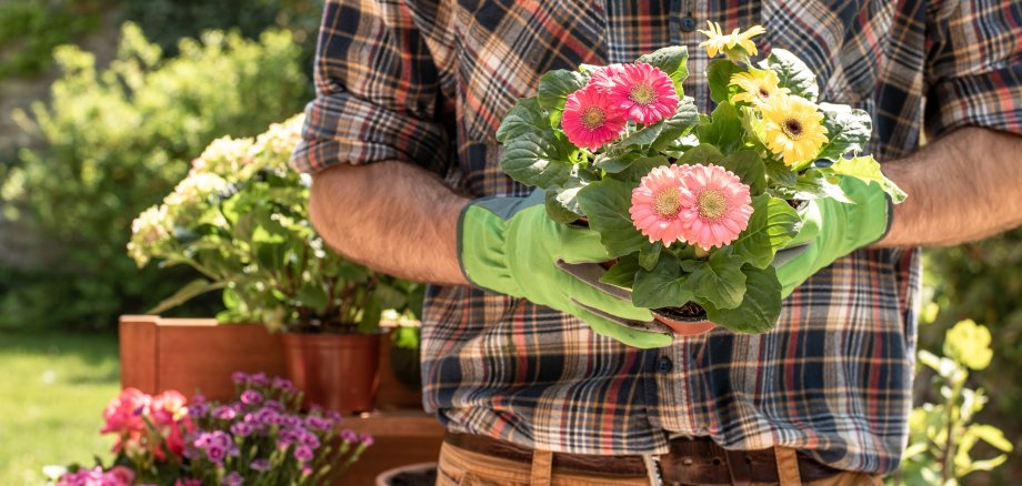 Mann mit Blumentopf in der Hand