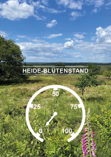 Das Heidebarometer steht bei 0%